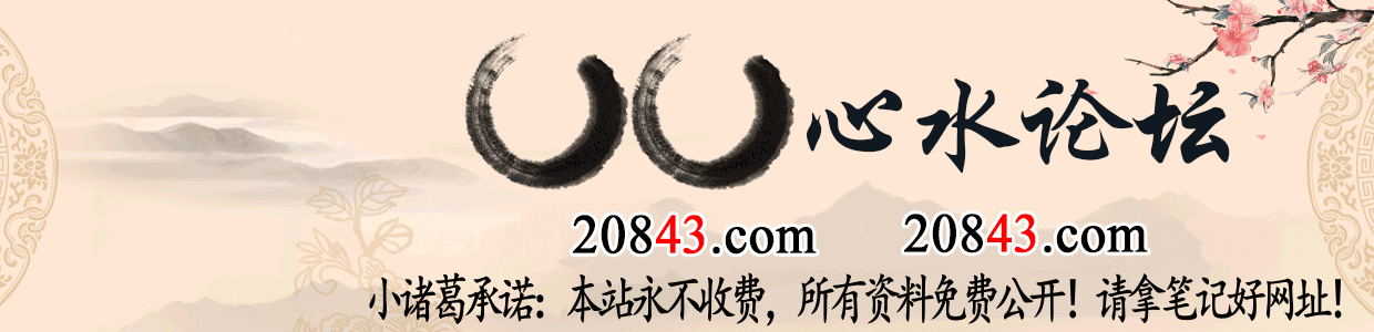 小诸葛心水论坛